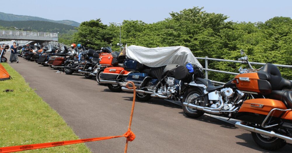 Harley Davidson-6