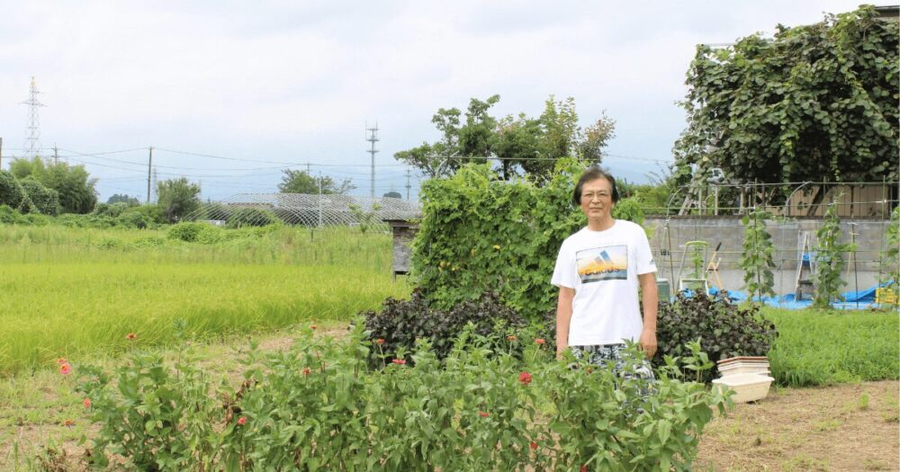Vegetable garden-2