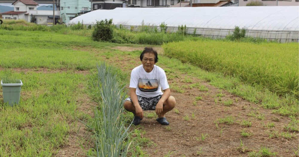 Vegetable garden-3