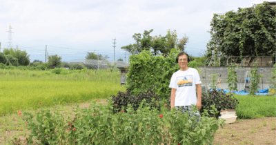 Vegetable garden-2n